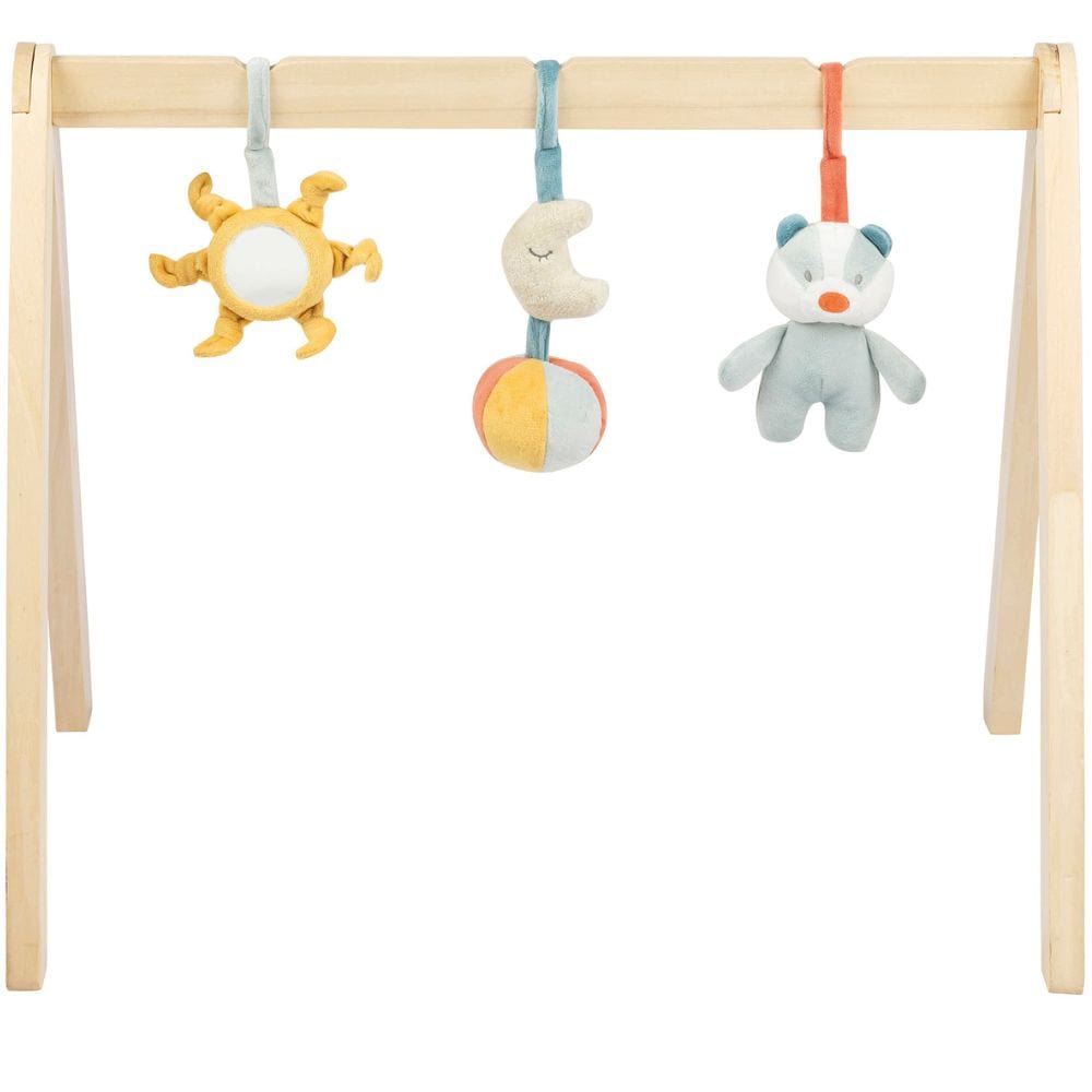 Mon Tapis d'Eveil Arche d'Eveil Montessori